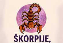 ŠKORPIJE, SPREMITE SE ZA ŠOK PREOKRET! Sudbina vam donosi ono čemu ste se dugo nadali!
