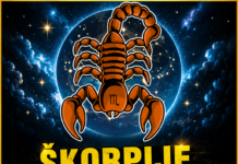 ŠKORPIJE, SUDBINA VAM SPREMA NAGRADU! Druga polovina mjeseca donosi preokret koji će vas ostaviti bez riječi!