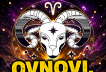 OVNOVI, ZVIJEZDE SU OVO KRILE OD VAS SVE DO DANAS! Sudbina je čekala PRAVI TRENUTAK – ono što sada stiže ostaviće vas BEZ RIJEČI!