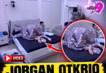 JORGAN OTKRIO VIŠE NEGO ŠTO JE TREBAO! Maja i Asmin završili ispod pokrivača, kamere sve snimile! (VIDEO)