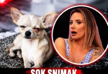 ŠOK SNIMAK OTVARA NOVA PITANJA! Kristina Spalević se našla u centru JEZIVOG SLUČAJA sa psom – poslušajte šta se čuje na videu koji je PODIGAO BURU!