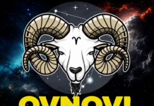 OVNOVI, PRIPREMITE SE ZA ISTINU KOJA ĆE VAS PRODRMATI! Narednih 5 dana DONOSI OTKRIĆE KOJE NISTE OČEKIVALI – poslije ovoga NIŠTA VIŠE NEĆETE GLEDATI ISTIM OČIMA!