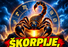 ŠKORPIJE, SPREMITE SE – NAREDNA 72 SATA OTVARAJU VRATA NEČEMU OGROMNOM! Sudbina pokreće TALAS SREĆE KAKAV SE RIJETKO DOŽIVLJAVA – ono što vam stiže moglo bi PROMIJENITI SVE!