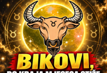 BIKOVI, DO KRAJA MJESECA STIŽE PROMJENA KOJA ĆE VAS OSTAVITI BEZ RIJEČI! Zvijezde otkrivaju VELIKI PREOKRET – ono što dolazi MIJENJA SVE IZ KORIJENA!