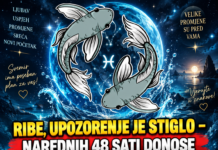 RIBE, UPOZORENJE JE STIGLO – NAREDNIH 48 SATI DONOSE NEŠTO NEZAPAMĆENO! Sudbina vam sprema PREOKRET KAKAV NISTE DOŽIVJELI – poslije ovoga NIŠTA VIŠE NEĆE BITI ISTO!