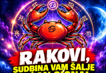 RAKOVI, SUDBINA VAM ŠALJE MOĆAN SIGNAL – UNIVERZUM POKREĆE PREOKRET KAKAV GODINAMA NISTE DOŽIVJELI! Stiže VELIKO IZNENAĐENJE, a jedan neočekivani događaj mogao bi OTVORITI VRATA SREĆE I OSTVARENJA VAŠIH NAJVEĆIH ŽELJA!