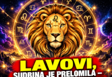 LAVOVI, SUDBINA JE PRELOMILA – UNIVERZUM VAM ŠALJE ZNAK KOJI ĆE PROMIJENITI SVE! Stiže PREOKRET KAKAV GODINAMA NISTE DOŽIVJELI, a jedna neočekivana vijest mogla bi OTVORITI VRATA VELIKE SREĆE, LJUBAVI I OSTVARENJA VAŠIH NAJDUBLJIH ŽELJA!