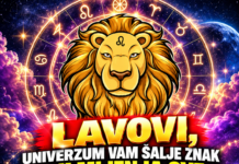 LAVOVI, UNIVERZUM VAM ŠALJE ZNAK KOJI MIJENJA SVE – SUDBINA SPREMA PREOKRET KAKAV GODINAMA NISTE DOŽIVJELI! Stiže VELIKO IZNENAĐENJE, a jedan neočekivani događaj mogao bi OTVORITI VRATA SREĆE I OSTVARITI ŽELJU KOJU DUGO NOSITE U SRCU!