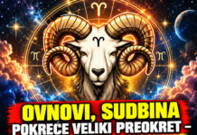 OVNOVI, SUDBINA POKREĆE VELIKI PREOKRET – NAREDNIH 7 DANA NIŠTA NEĆE BITI ISTO! Pred vama je period koji bi mogao OTVORITI VRATA NOVIM PRILIKAMA, a jedan događaj može promijeniti pravac vašeg života!
