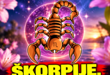 ŠKORPIJE, SPREMITE SE ZA EMOTIVNI ŠOK – STIŽE PREOKRET KOJI ĆE VAS RASPLAKATI! SUDBINA VAM DONOSI NEŠTO NEZABORAVNO!