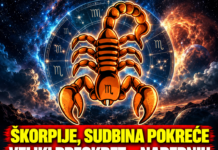 ŠKORPIJE, SUDBINA POKREĆE VELIKI PREOKRET – NAREDNIH 7 DANA NIŠTA NEĆE BITI KAO PRIJE! Stiže trenutak koji može PROMIJENITI TOK VAŠEG ŽIVOTA, a ono što se sprema mogli biste pamtiti ZAUVIJEK!